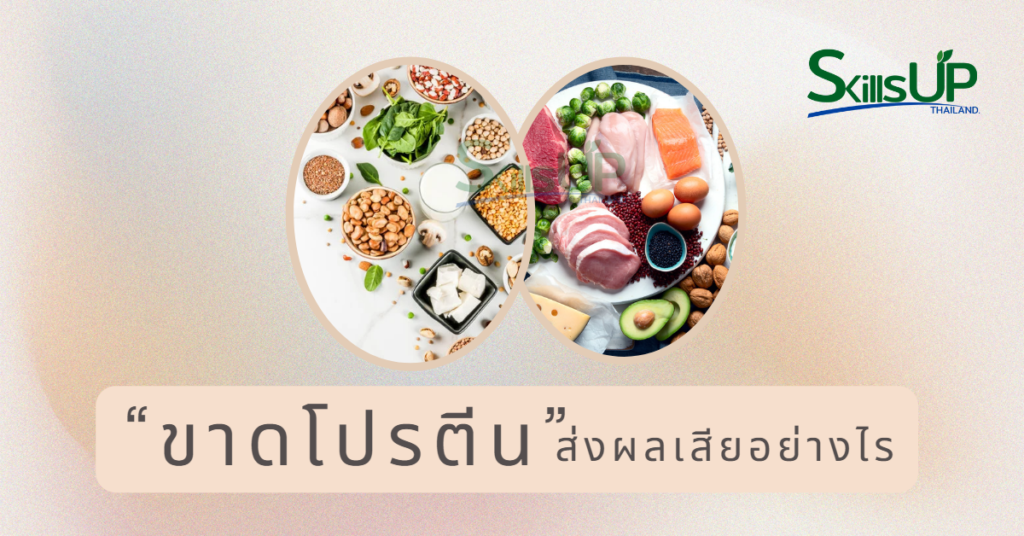 “ขาดโปรตีน” ส่งผลเสียอย่างไร “ขาดโปรตีน” ส่งผลเสียอย่างไร