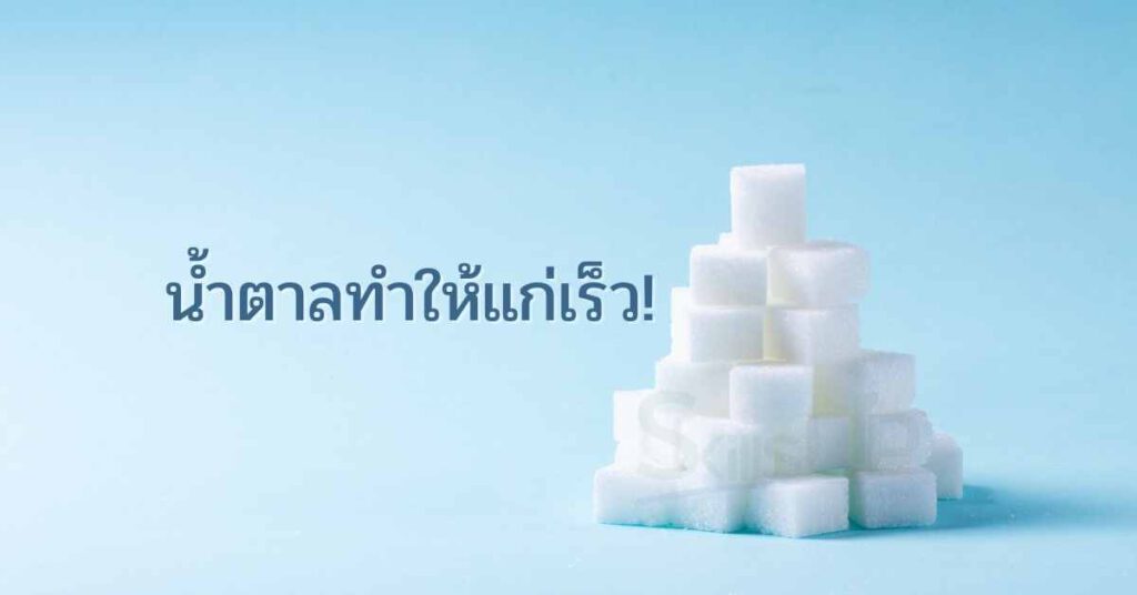 กินน้ำตาลเยอะทำให้แก่เร็ว! จริงเหรอ? กินน้ำตาลเยอะทำให้แก่เร็ว! จริงเหรอ?